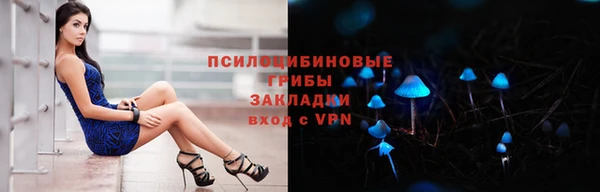 соль ск Горнозаводск