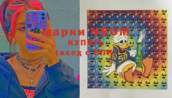 соль ск Горнозаводск