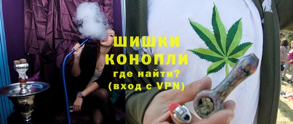 гидра Гусиноозёрск