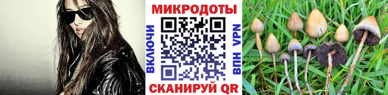 Галлюциногенные грибы Cubensis  купить наркоту  Вязники 