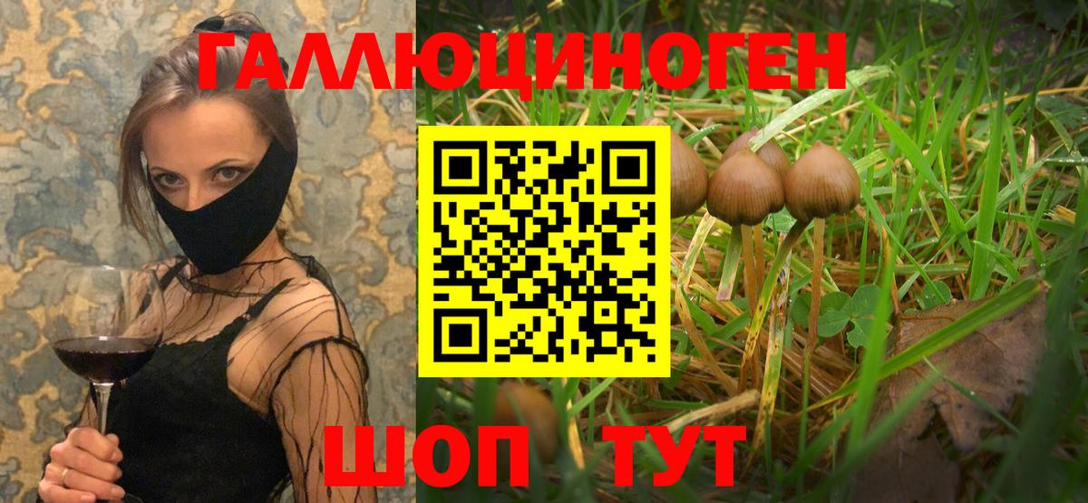 Псилоцибиновые грибы Magic Shrooms Вязники