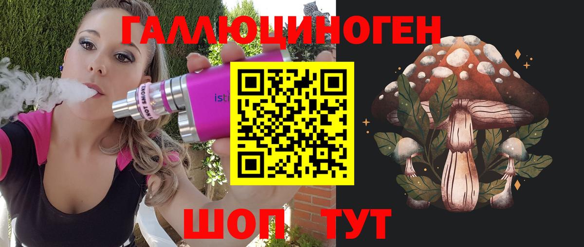 Псилоцибиновые грибы Psilocybe  Вход с VPN  Вязники 